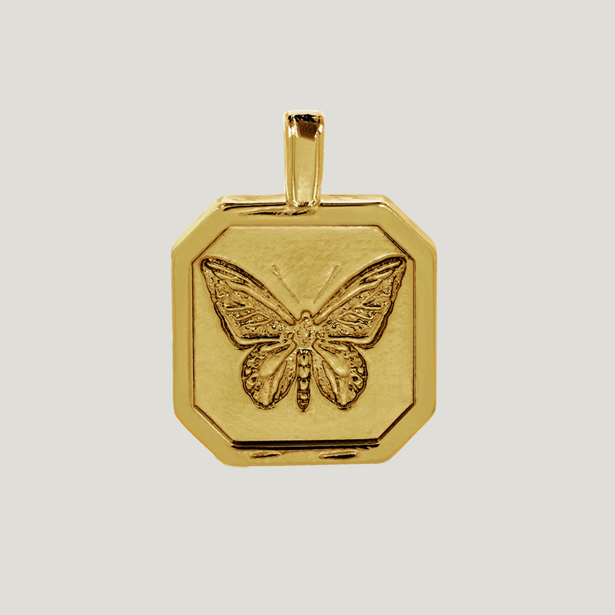 Butterfly Effect Charm