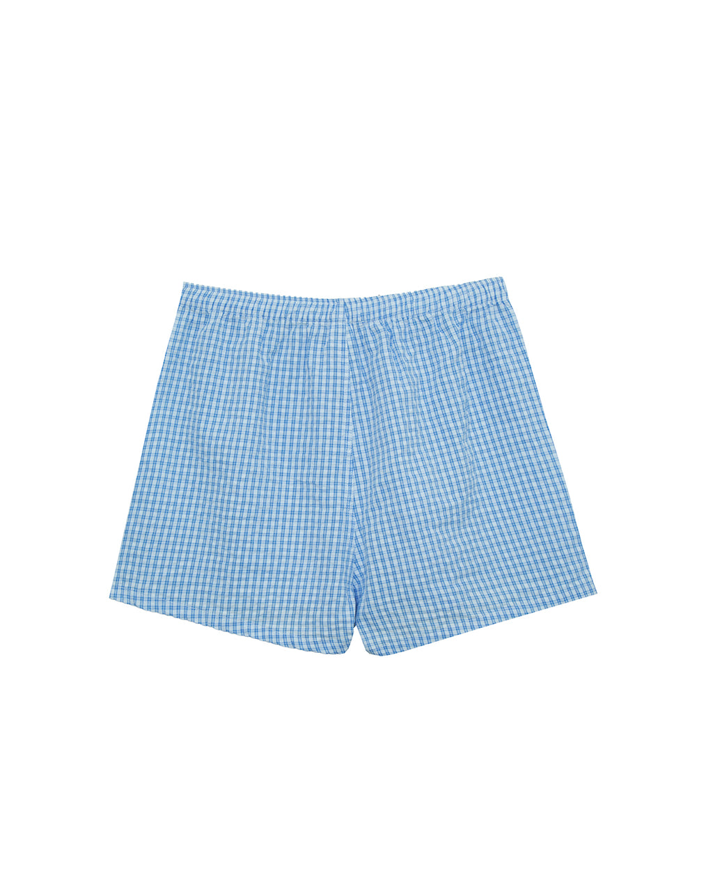 Blue Checkered Boxers