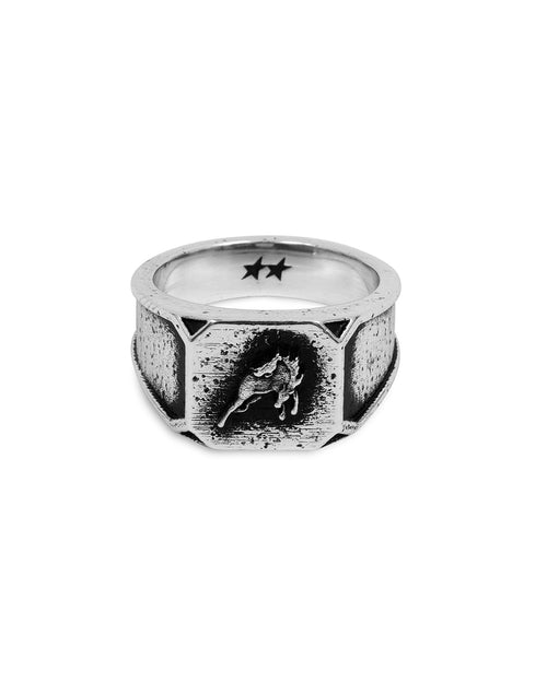 Bronco Signet – vista frontal