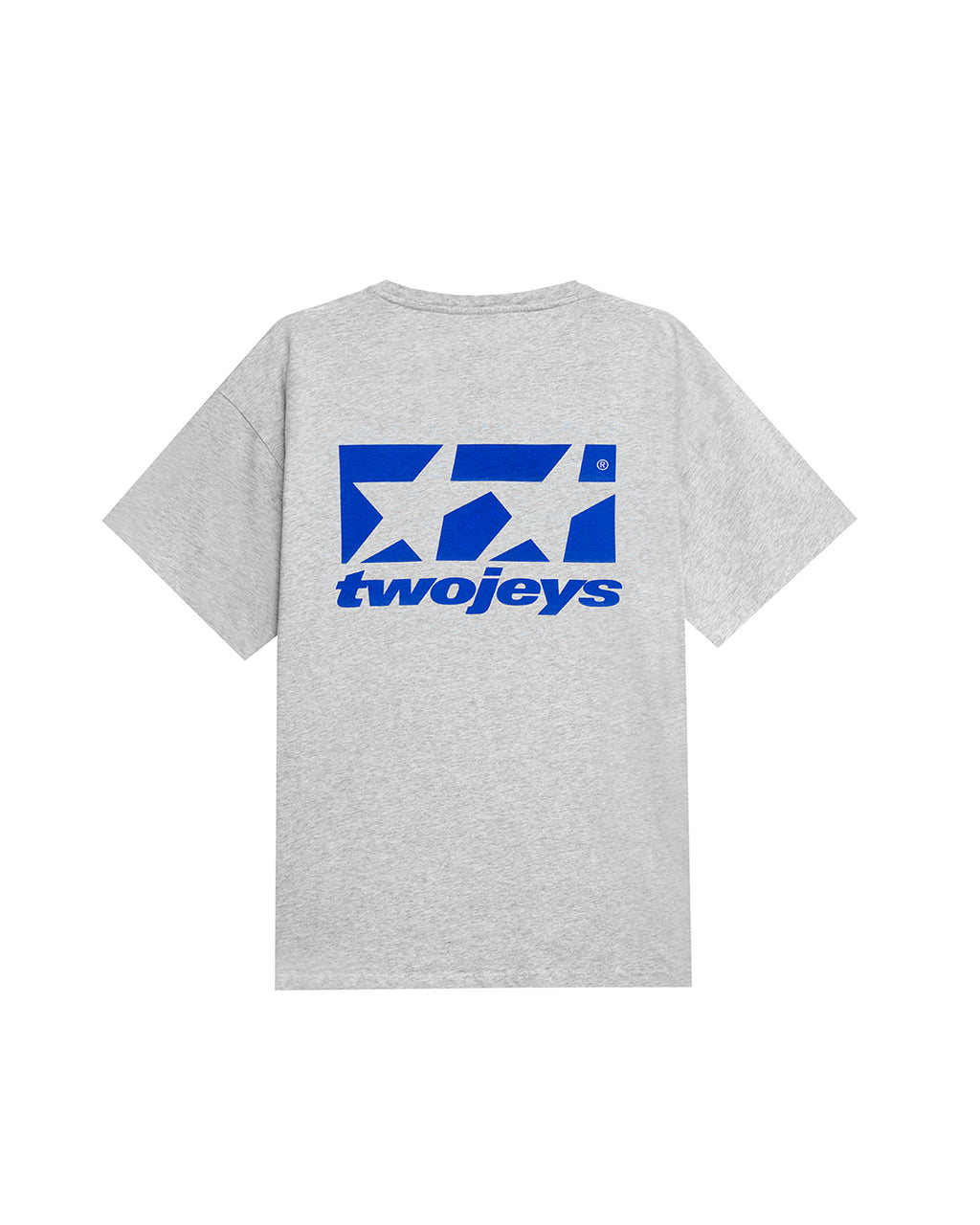 Framed Logo Tee Grey Melange – back view
