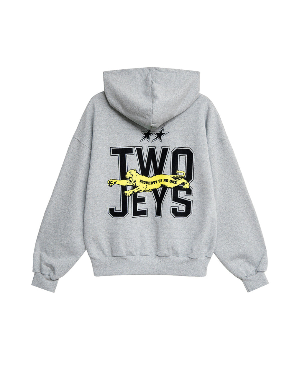 Panther Hoodie Grey Melange – back view