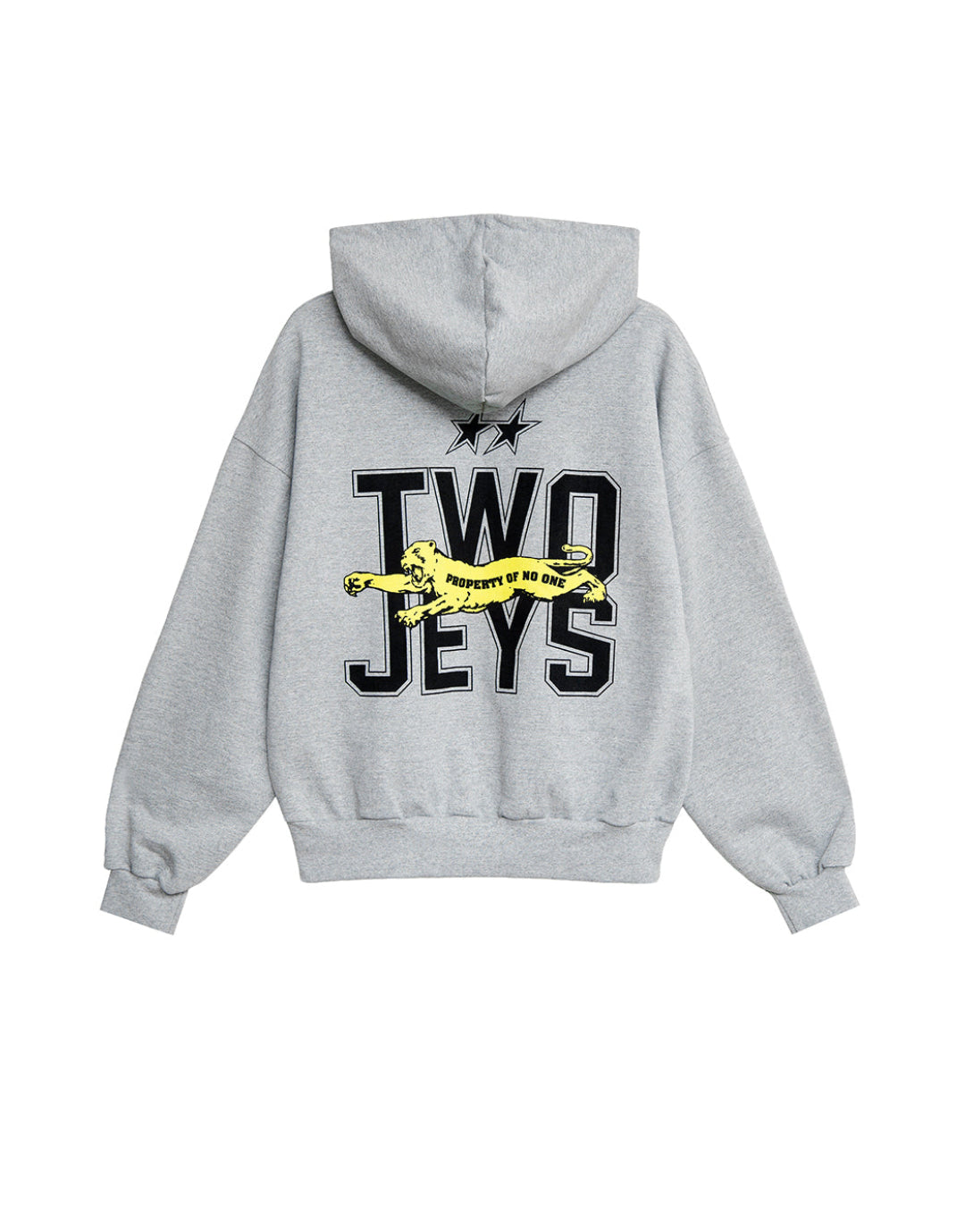 Panther Hoodie Grey Melange – back view