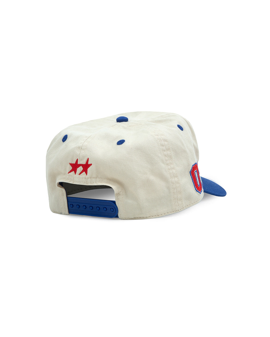 Panther Cap – back view