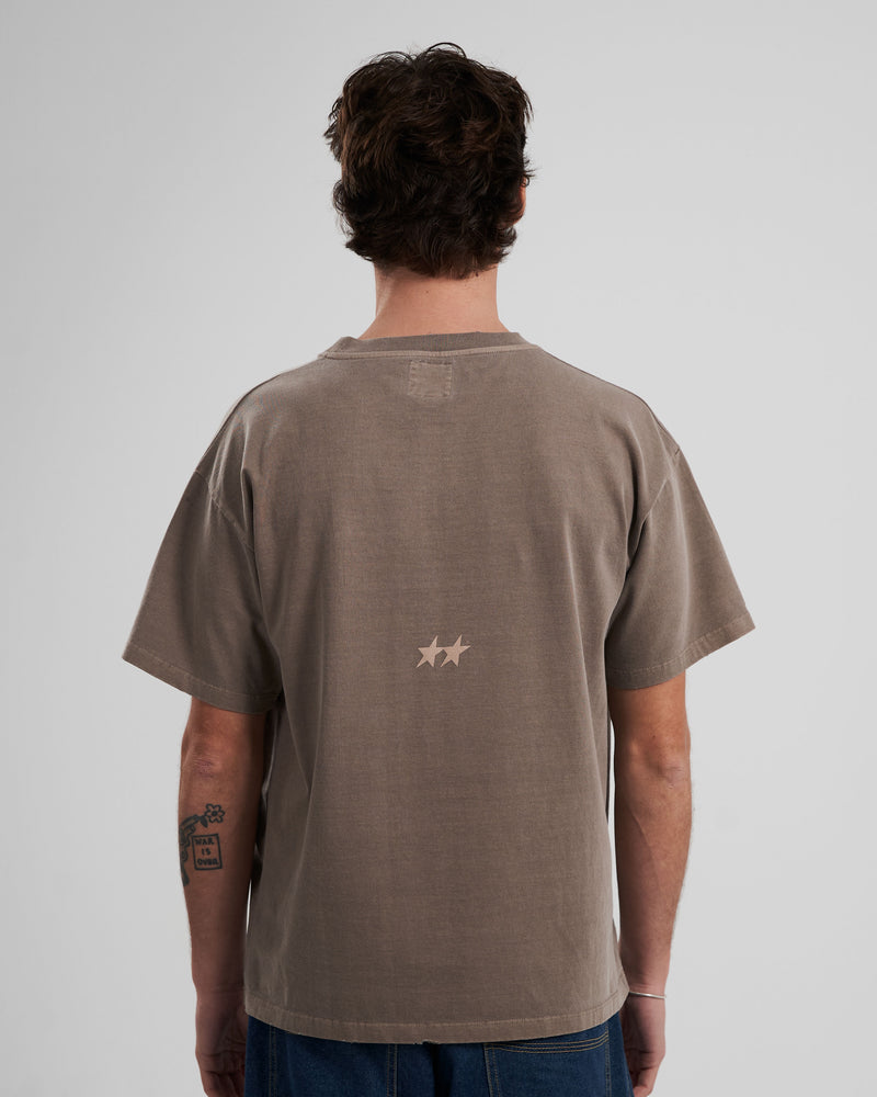 Camiseta Icon Washed Marron Claro