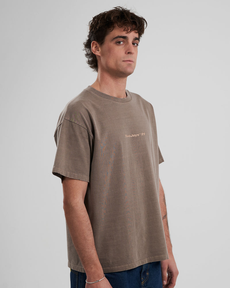 Camiseta Icon Washed Marron Claro