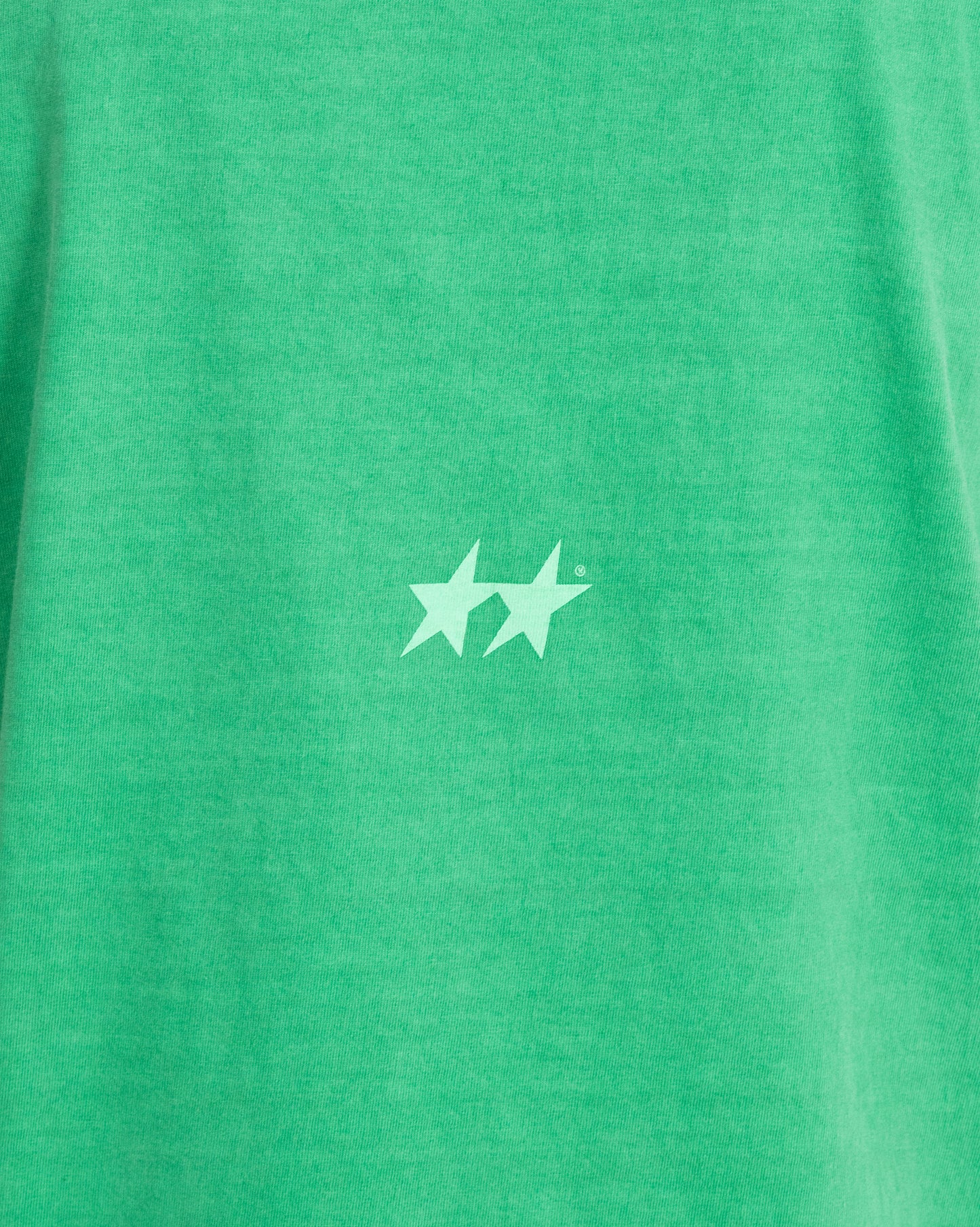 Icon Washed Green T-Shirt