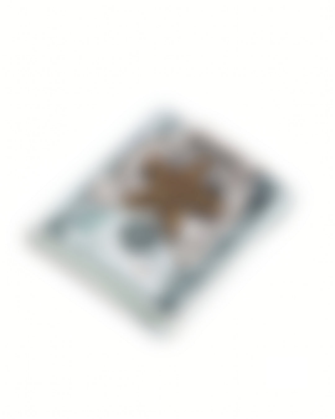 LOYALTY REWARD ACCESSORY