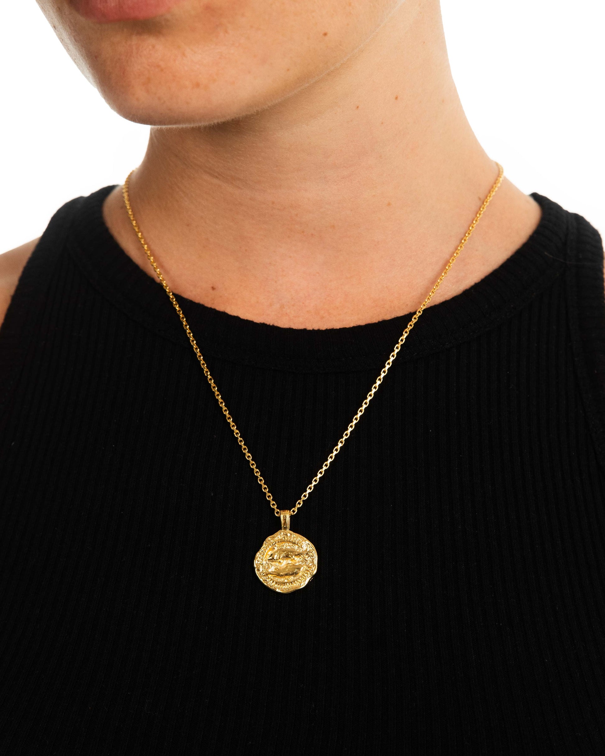 Necklace – Gold Pisces Twojeys