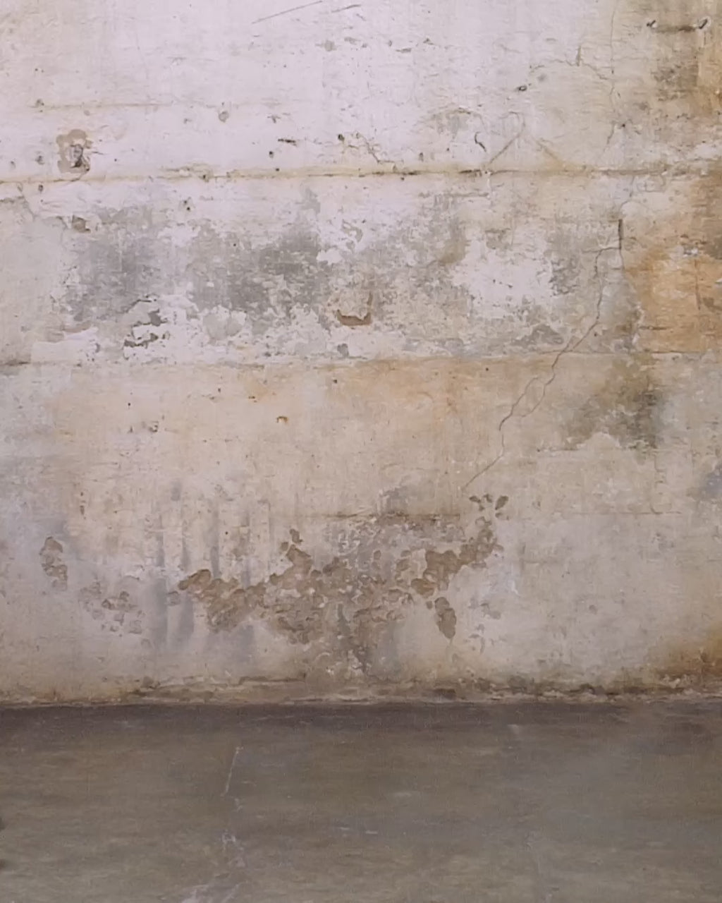 Pigment Dyed Purple Varsity Tee