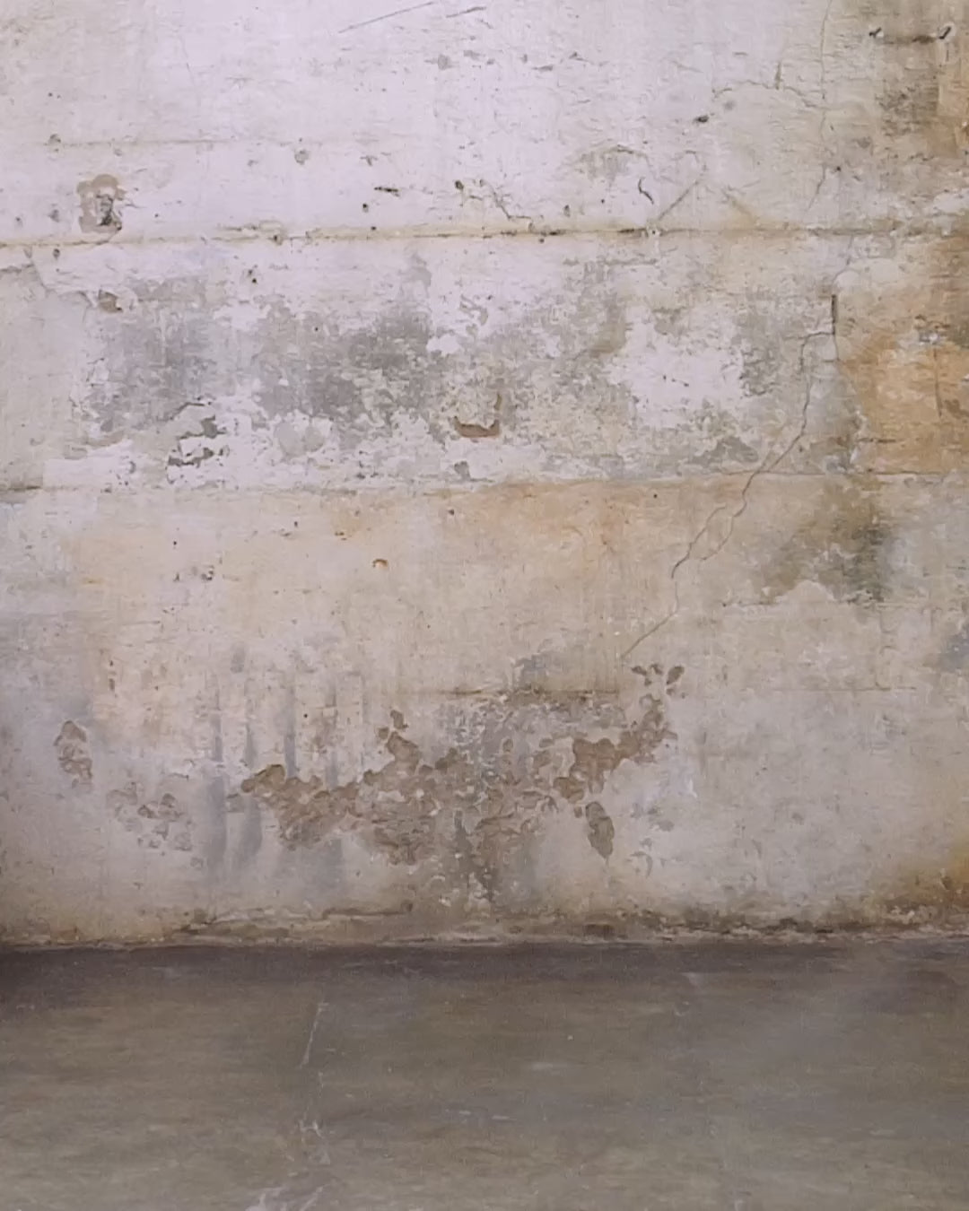 Pigment Dyed Purple Icon Hoodie