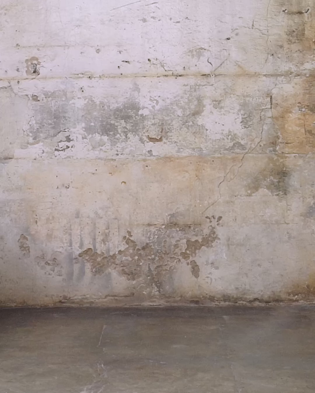 Pigment Dyed Green Icon Hoodie